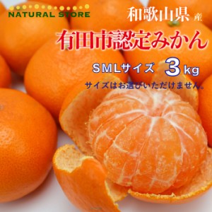 [予約 11月5日-11月30日の納品] 有田市認定みかん SMLサイズ　3kg箱　和歌山県有田産　ありだみかん　和歌山県のブランドみかん　みかん