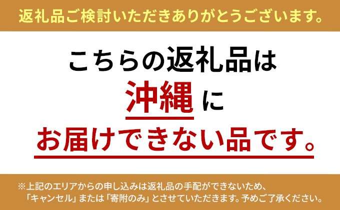  北海道 滝川市 産 ミニトマト (赤) 約1.1kg トマト 野菜 やさい みにとまと