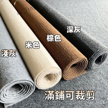 地毯 大地毯 客廳地毯地毯 客廳茶几毯 卧室 家用地墊 床邊毯 毛地毯 地毯 地墊 刮泥可裁剪地毯地墊  ins風裝飾
