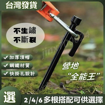 【現貨速發-隔日達】戶外加粗地釘 野營帳篷鋼釘 天幕露營防風加長固定 沙灘營釘 鋼製營釘 帳篷配件不易彎曲釘
