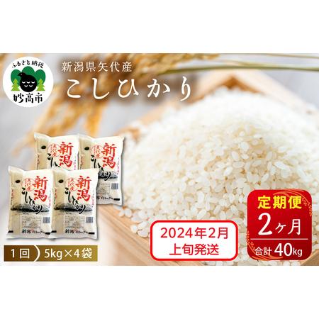 ふるさと納税 新潟県矢代産コシヒカリ20kg×2回（計40kg）※沖縄県・離島配送不可 新潟県妙高市