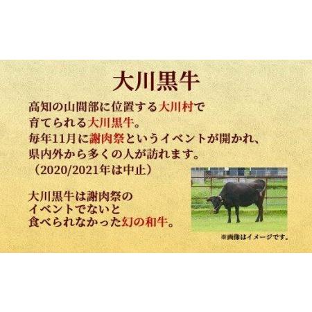 ふるさと納税 肉 牛肉 国産 黒毛 和牛 モモ ステーキ 300g 希少 幻の大川黒毛和牛 高知県 須崎市 高知県須崎市