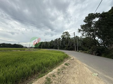 青埔旁萬能都計內美田｜桃園市中壢區萬能段
