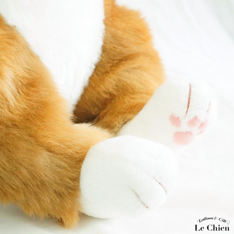 Cuddly わさ美　Wasabi ぬいぐるみ わさ美 Wasabi 猫のぬいぐるみ – Cuddly公式オンラインショップ