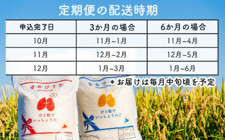 ななつぼし１０ｋｇ　３か月定期便（農家直送：芦別ＲＩＣＥ）