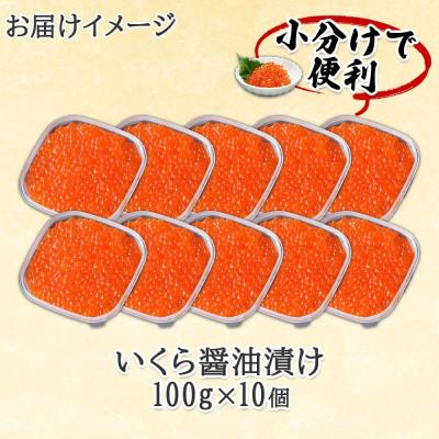 ふるさと納税 倶知安町 2024年先行受付 北海道産いくら醤油漬け 100g×10パック