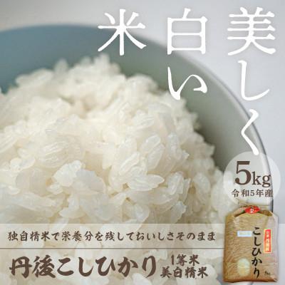 ふるさと納税 京丹後市 令和5年産　丹後こしひかり1等米5kg　美白精米