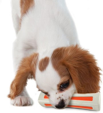 【比漾咬咬骨】狗狗潔牙玩具 3尺寸 迷你到中大型犬適用