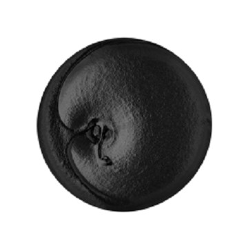 【LUSH】清新木炭牙膏 60g