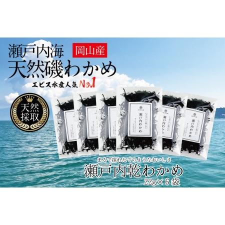 ふるさと納税 風味豊かな 瀬戸内 わかめ 22g×6袋 エビス水産 岡山県瀬戸内市