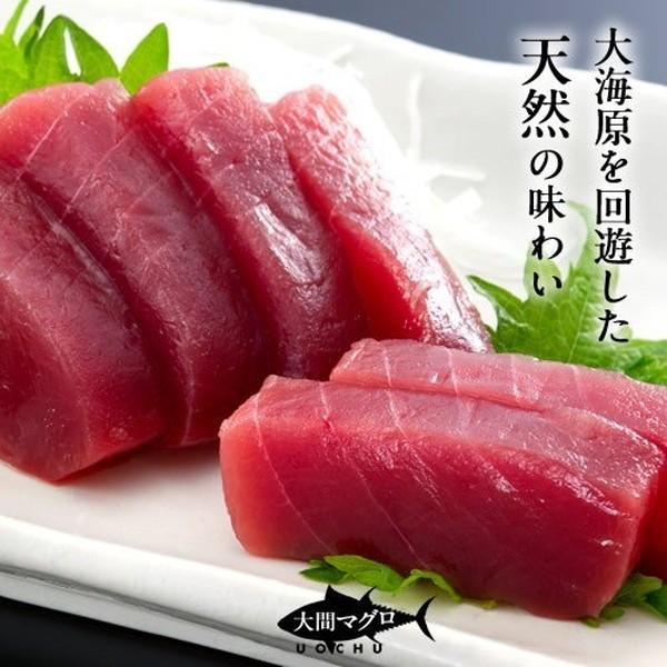 まぐろ大間産 天然本マグロ 赤身 [200g] 大間のまぐろ 一本釣り 生まぐろ 刺身用 大間港直送［お歳暮 2023 ギフト 御歳暮］