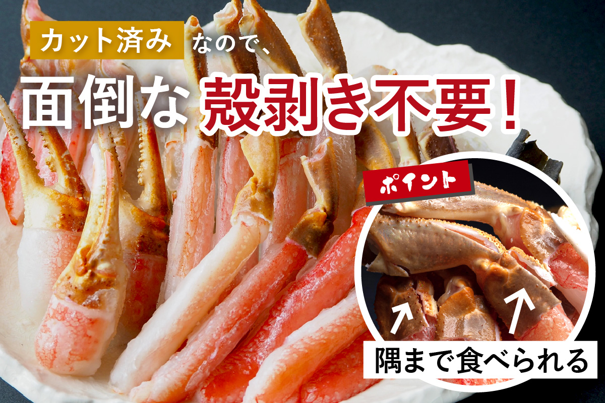 北見市加工 生冷本ズワイガニセット 800g 昆布入 海鮮 魚介類 魚介 蟹 かに カニ セット 鍋 カニ鍋 カニ爪 ズワイガニ かにしゃぶ カット済 贈答 ギフト 熨斗 のし ふるさと納税