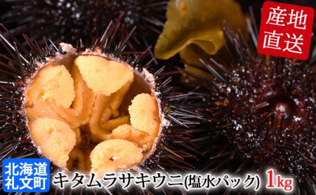 北海道 礼文島産 採れたて キタムラサキウニ 塩水パック 100g×10 生うに 生ウニ  塩水うに