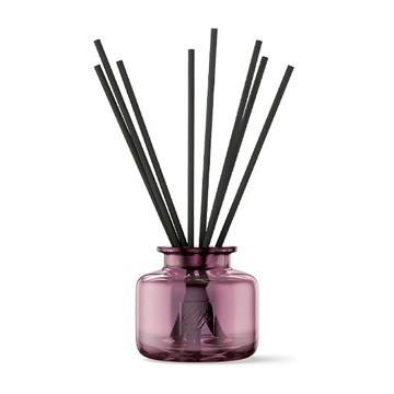 LINE PAY享5%，首購千元香氛禮Jo Malone London 鼠尾草與海鹽擴香琉彩工藝擴香玻璃瓶組 - 石榴紅