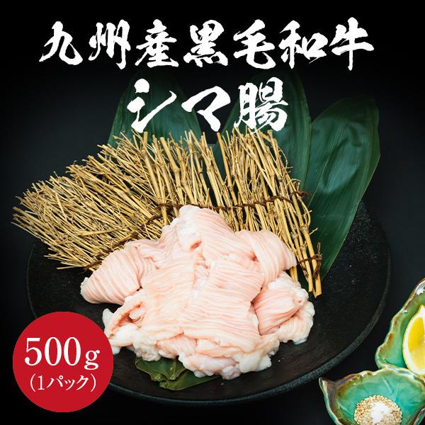 九州産黒毛和牛シマ腸 500g ホルモン 焼肉 もつ鍋 バーベキュー BBQ