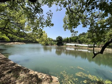 新社區近雙翠水壩食水嵙旁休閒養生平坦農地｜台中市新社區湳嶺段