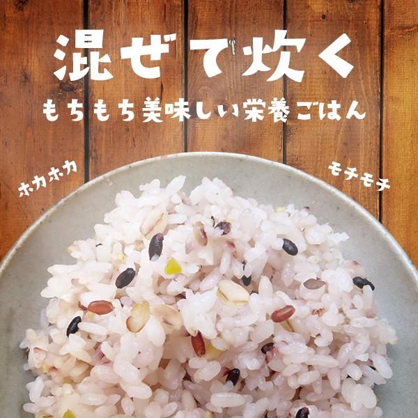 日本の水と土で育てた おいしい 十六雑穀（300g）| 胚芽押麦 もち黒米 押裸麦 大豆 小豆 大豆金時 もちきび 発芽玄米 高きび インゲン豆 黒大豆 もち赤米 もち粟