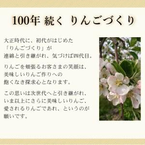 ふるさと納税  こだわり栽培の はるか 厳選品 3kg 岩手県奥州市産りんご 産地直送 [AY002] 岩手県奥州市