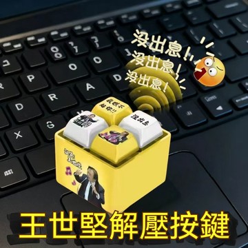 🔥隔日達台灣倉出貨8H🔥新款王世堅從從容容發光語音發音按鍵按鈕鍵盤掛件鑰匙扣解壓玩具
