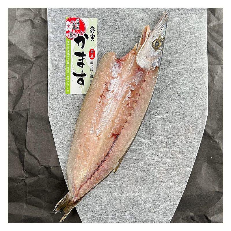 かます干物 静岡県産 70g×6枚冷凍［無添加 沼津のひもの かます開き 奥寅商店］