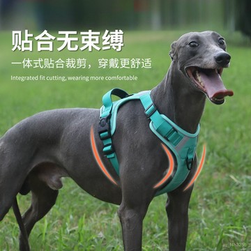 24小時熱銷寵物項圈牽引繩頸圈跨境犬用新款寵物狗牽引繩胸揹帶背心式大型犬繩不勒頸背心 BWQG