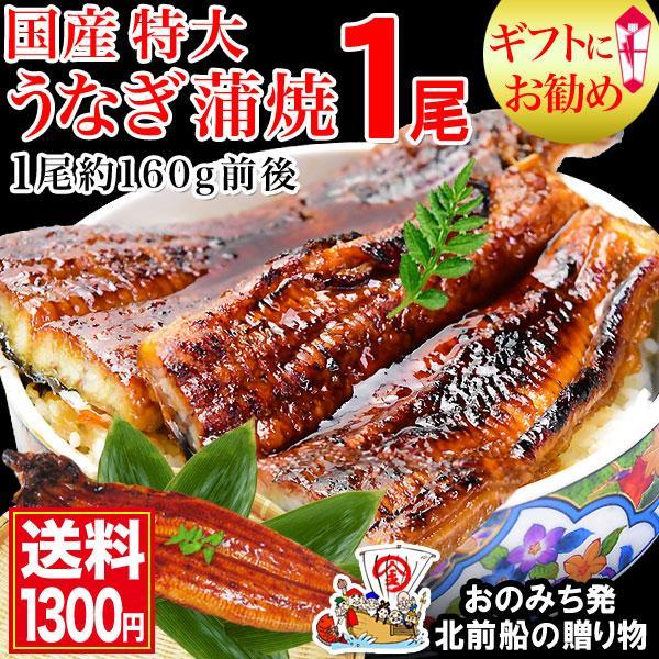 うなぎ 蒲焼き 国産 ギフト 鰻 うなぎ蒲焼き 九州産 1尾 大(約160g前後×1尾) 宮崎・鹿児島県産 うなぎ 同梱6尾で送料無料に