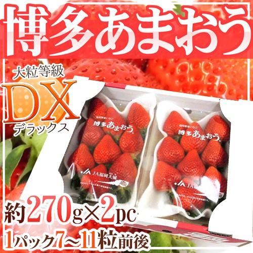 福岡産 博多 ”あまおういちご” 等級DX（デラックス）1箱 2パック入り 約270g×2パック 送料無料