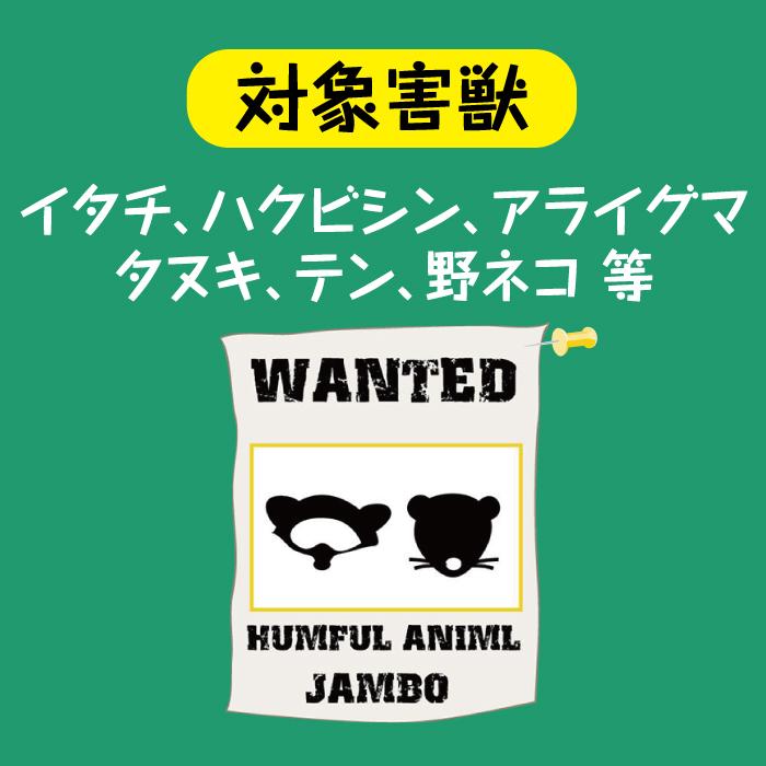 罠 トラップ 動物捕獲用罠 折り畳み式 ジャンボ捕獲器 家畜被害 害獣 イタチ ハクビシン アライグマ タヌキ テン 野ネコ 捕獲器 大型