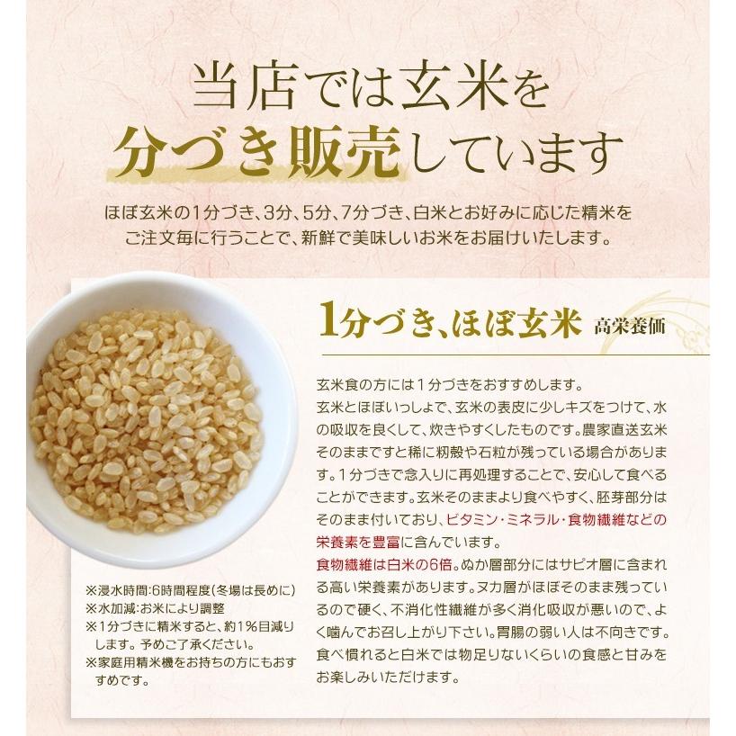 新米コシヒカリ玄米20kg令和5年産 選べる分づき 白米・ 7・５・３・１分づき　送料無料　ひろしまのお米