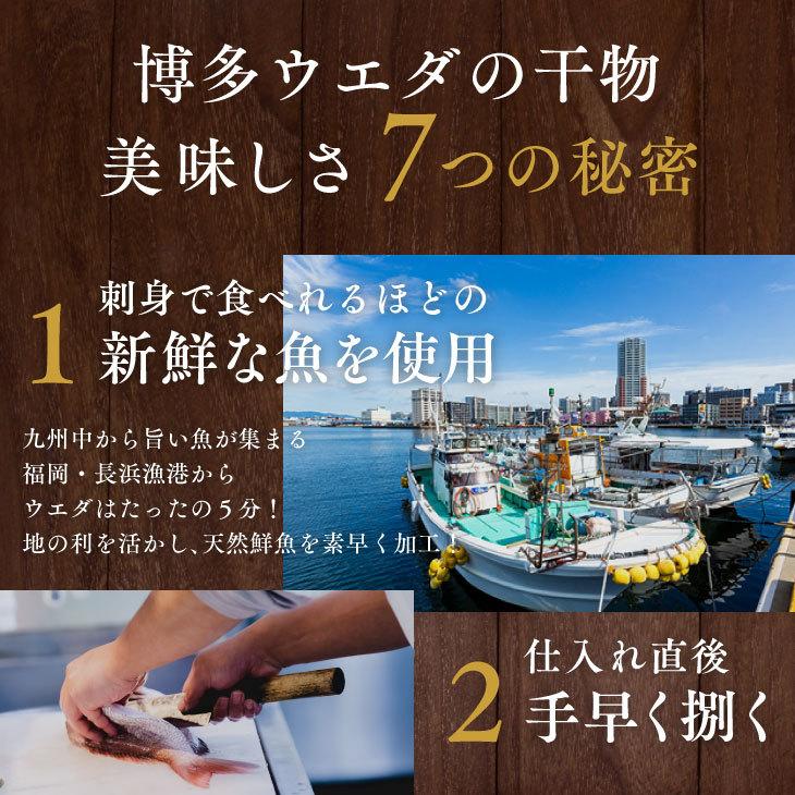 産地直送九州 お取り寄せ 干物 ひもの 食べ比べ 豪華 魚 添加物不使用 無添加 お歳暮 ギフト 贈答 記念 おつまみ 帰省暮 送料無料