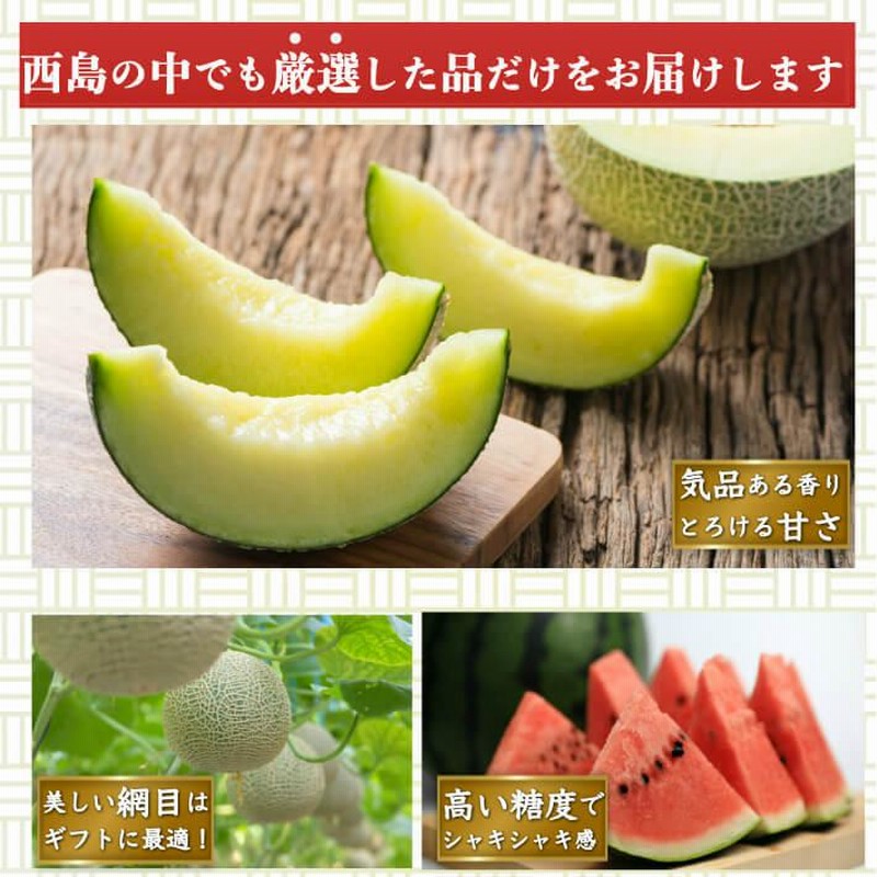 高知県産 マスクメロン スイカセット 大玉 誕生日 高級 ギフト