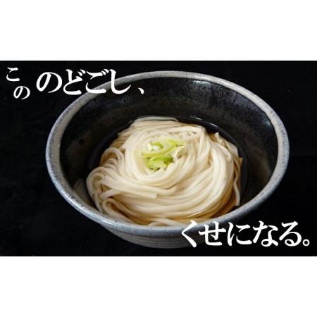 ふるさと納税 喉越しの良い象潟うどんとひやむぎセット(各5束合計10束 20人前 乾麺） 秋田県にかほ市