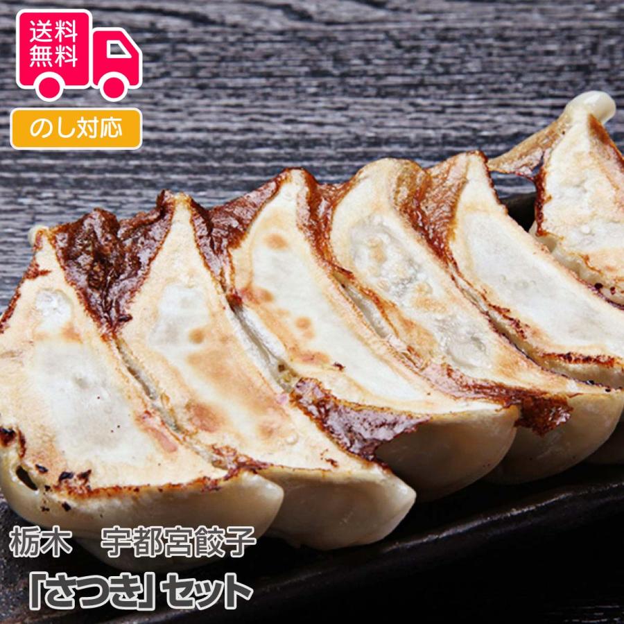 栃木 宇都宮餃子さつきセット プレゼント ギフト 内祝 御祝 贈答用 送料無料 お歳暮 御歳暮 お中元 御中元