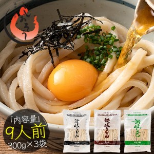 うどん 讃岐うどん 300g (9人前)×3袋 メーカー直送 ［ゆうパケット］［配送日時指定不可］［商品代引不可］［同梱不可］ 冬グルメ 冬ギ