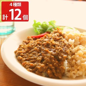 やさしい大豆 4種12Pセット 大豆ミート ハンバーグ 国産 ヘルシー 低脂質