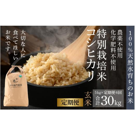 ふるさと納税 福井県 あわら市 《定期便6回》コシヒカリ 玄米 5kg （計30kg）特別栽培米 化学肥料不使用  ＜温度と湿度を常時管理し…