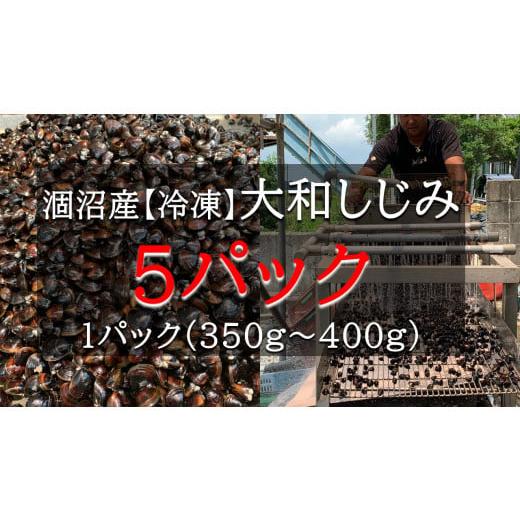 ふるさと納税 茨城県 鉾田市 涸沼産大和しじみ（砂抜き済み）　5パック