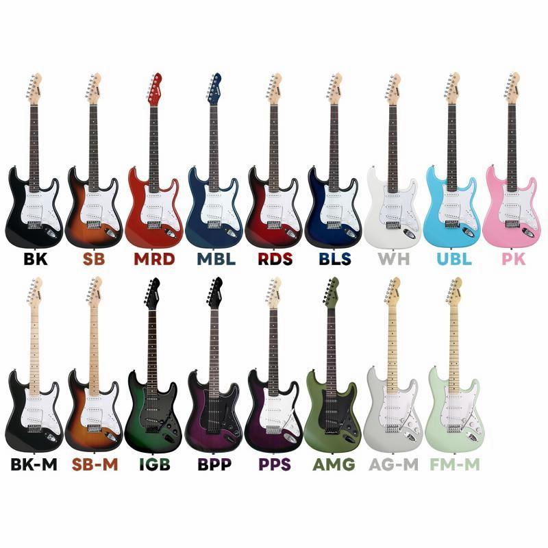 SELDERエレキギター入門セット r400