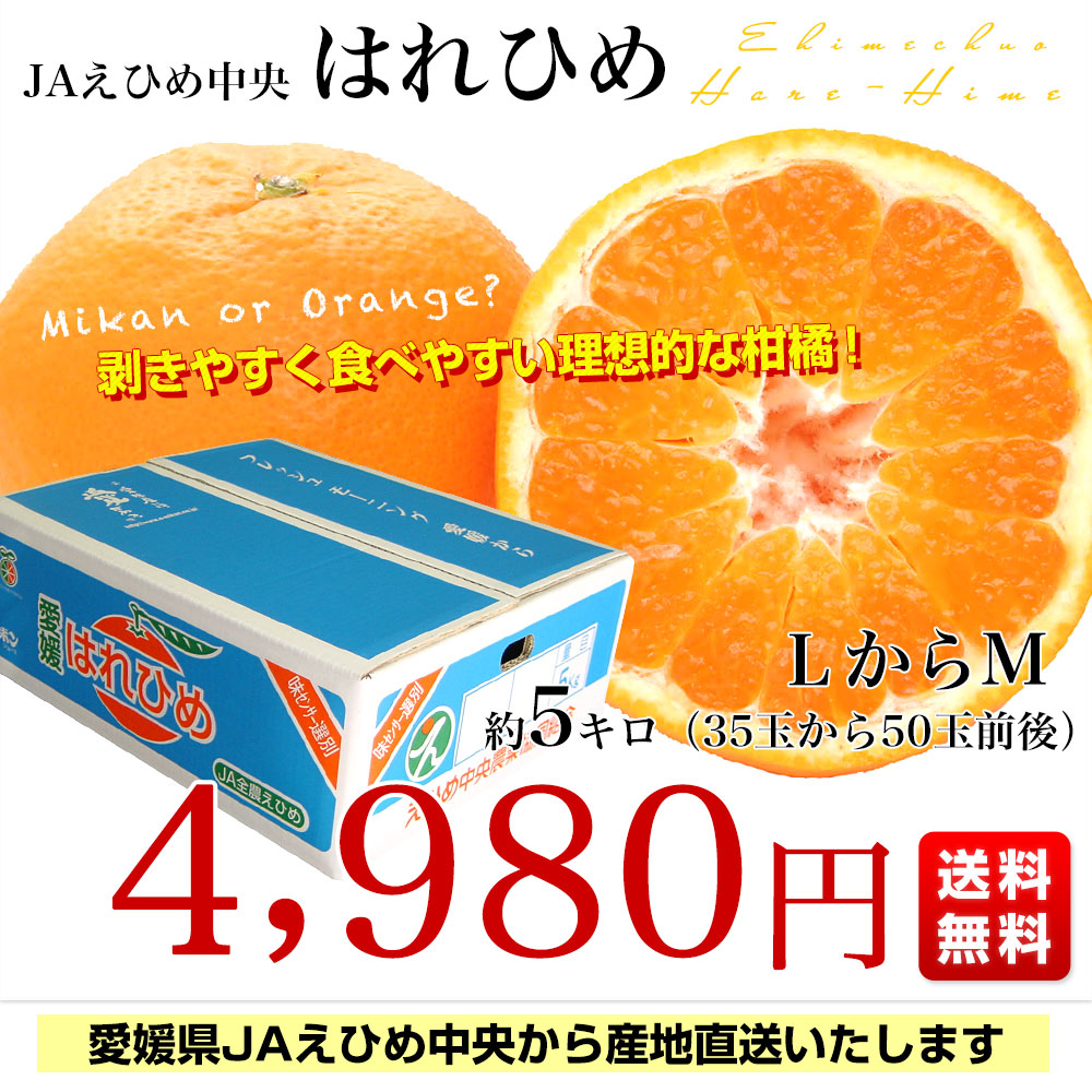 愛媛県より産地直送 JAえひめ中央 はれひめ LからMサイズ 約5キロ(35玉から50玉前後)　送料無料 オレンジ　柑橘類　みかん