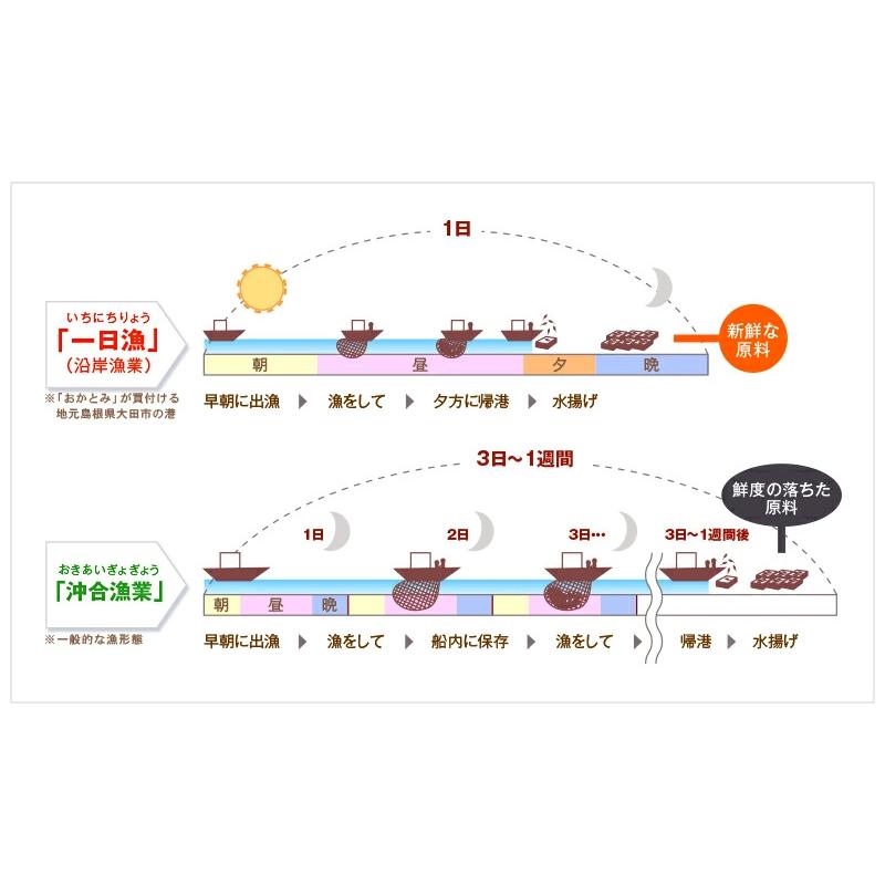 島根県沖 あなご （一夜干し）＆3種の干物（のどぐろ・かます・あじ）詰合せセット 国産 島根産 無添加 岡富商店 -おかとみ- ギフト お歳暮 のし対応可