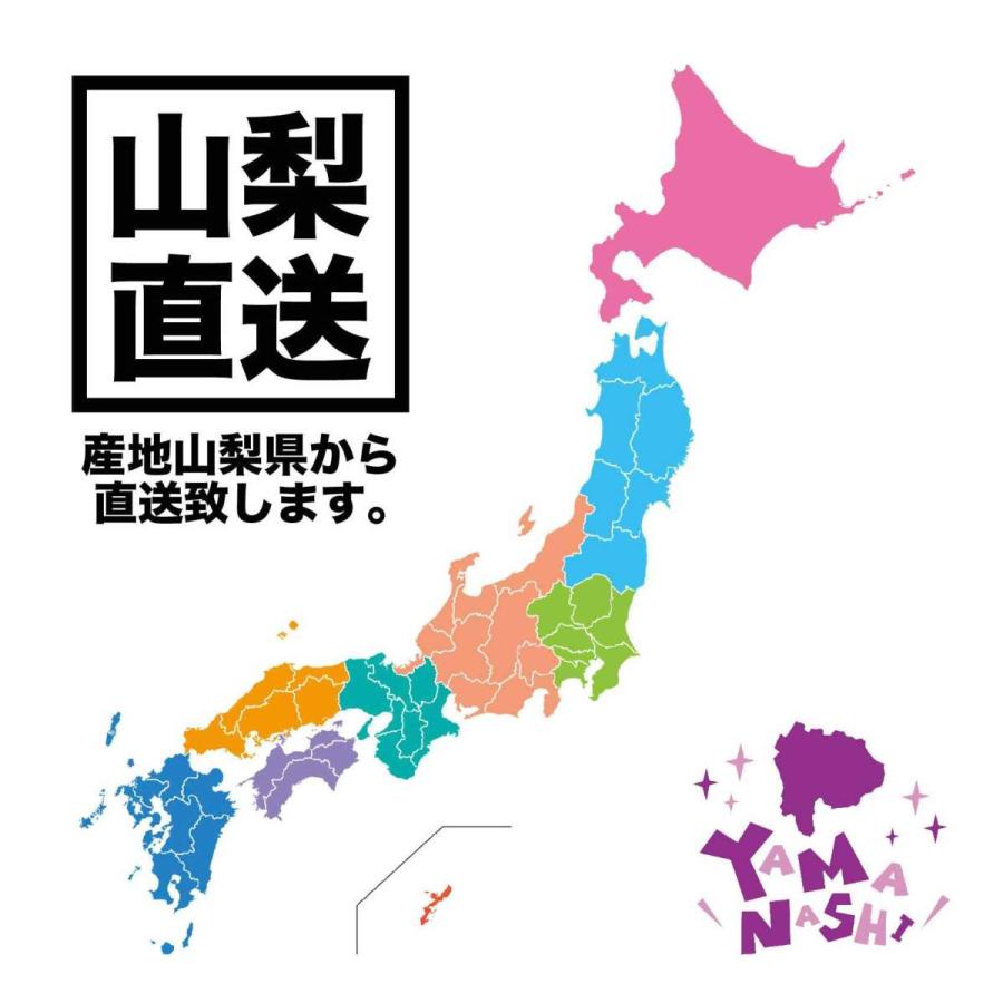 武川米 こしひかり　令和5年産　新米　　コシヒカリ　10kg　送料無料　人気商品　当日発送　令和３年産　山梨県産　ブランド米　国内産　国産