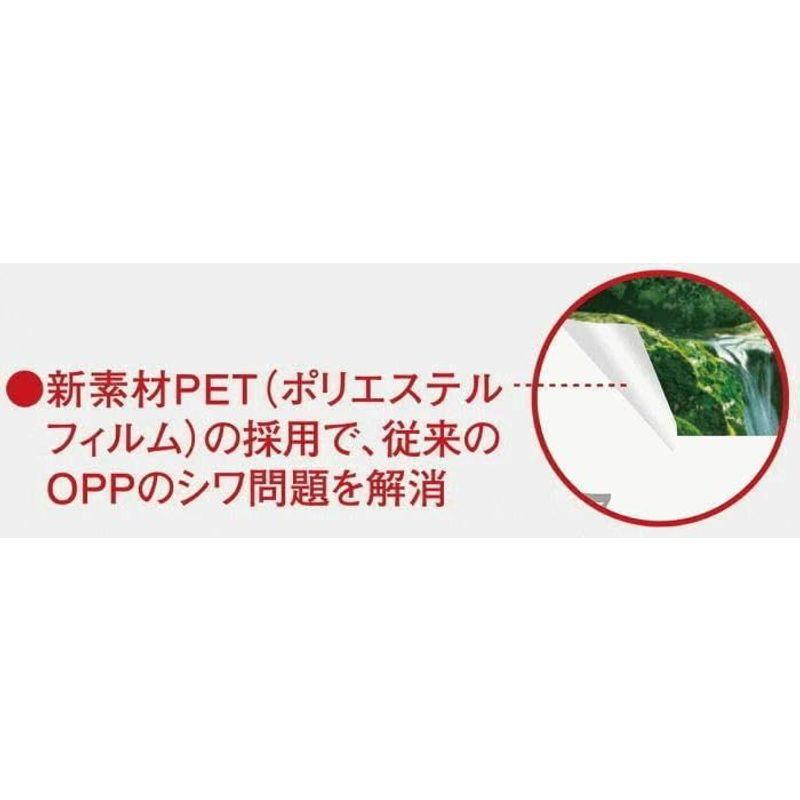 カレンダー 2024 花 特大サイズ 花の贈り物 フィルムカレンダー カレンダー 2024年カレンダー 令和5年 花 カレンダー2024 壁