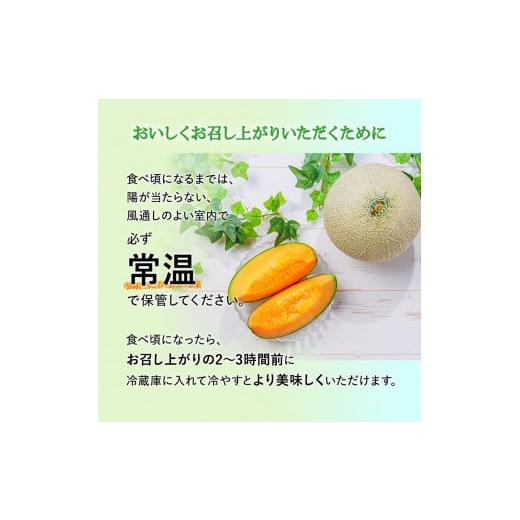 ふるさと納税 北海道 上富良野町 かみふらの 赤肉メロン 約2kg 2玉 セット 北海道 上富良野町 メロン 先行予約 令和6年発送