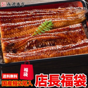 国産うなぎ絶対入ってます！ おまかせ福袋 送料無料 ロス 冷凍便 食品 グルメ 海鮮 プレゼント