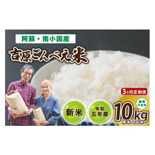ふるさと納税 熊本県 南小国町 令和５年産・新米　ごんべえ米　10kg