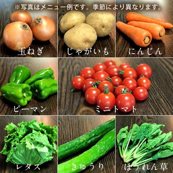 日本の有機野菜セット 旬のおまかせ8種類 全国ご当地生産者のこだわり有機栽培 ベジタブル スムージー 野菜材料 通販 人気［お歳暮 ギフト プレゼント］