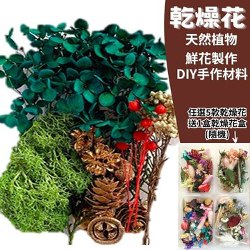 【A-ONE】乾燥花材料包 綠果森林 花藝材料 乾燥花 永生花 不凋花 壓花 浮游花 香薰蠟燭 花材 B02