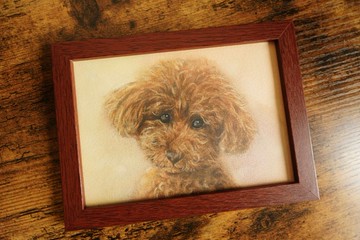 客製寵物水彩畫