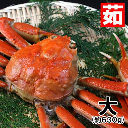 香住産・茹で松葉がに(大)(約630g)1匹(カニ かに 蟹 ズワイガニ ずわいがに 松葉ガニ 松葉蟹 お取り寄せ 産地直送)