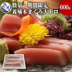 鷹島産本まぐろ大トロ600g